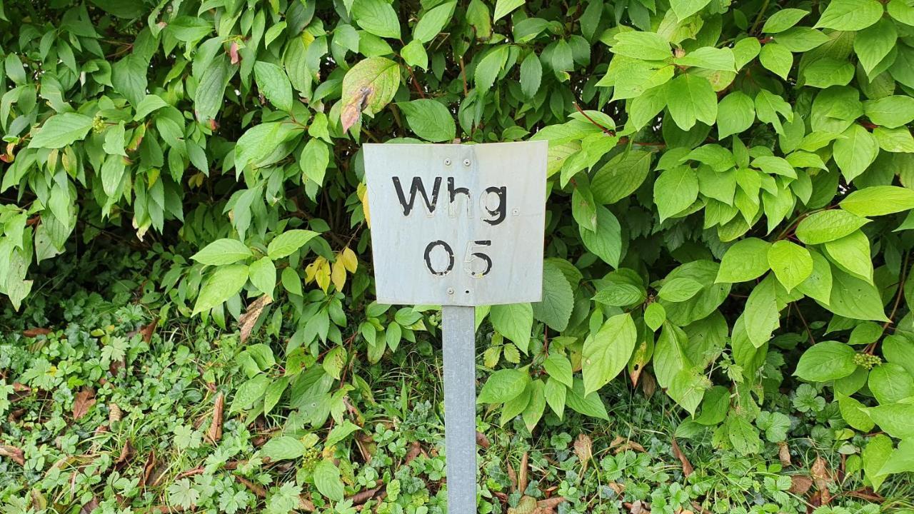 Ferienwohnung Fuer 5 Personen In Wasserburg المظهر الخارجي الصورة